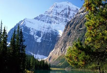 沃夫斯堡对阵拜仁，谁能在德甲赛场占得先机？